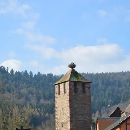 Appartement Coeur D'alsace