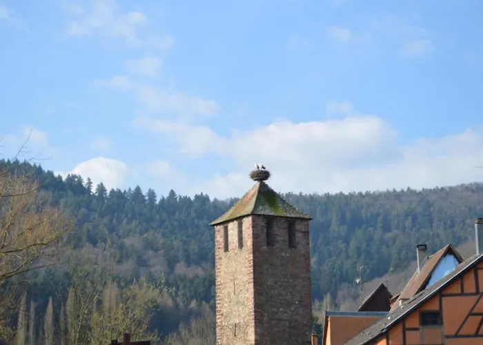 Apartment Coeur D'alsace