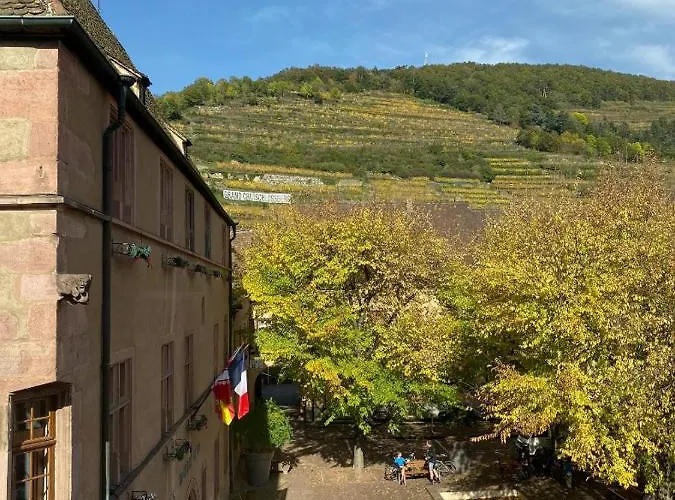 Apartment Coeur D'alsace